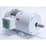 Leeson 121869.00 Washdown Motor, 1-1/2 Hp, Rigid Base, Cwse. Fixed Price $660.99.