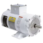 Leeson 108226.00 Washdown Motor, 1/2 Hp, 90VDC. Fixed Price $783.00.