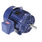 Marathon 324TTFS7290 Definite Purpose Motor, Three Phase, 30, 1/2 Hp,. Fixed Price $6557.99.