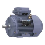 Marathon Motors TCA1P53AE211GAA009 Metric MOTOR,2 HP,1,175 RPM,230/460V 55AY72. Fixed Price $1379.99.