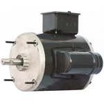 Dayton Ggs 46522 Direct Drive Motor, Permanent Split Capacitor, 1/3 Hp, 115V. Fixed Price $169.99.