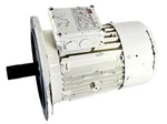 Ssb Antriebstechnik Flanged Electric Motor DM-0522.010.1.001 400V 4080RPM 5.5KW. Fixed Price $799.99.
