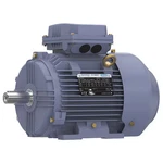 Marathon TCA0032AE211GAA009 Metric Motor, Hp, 1, 765 Rpm, 230/460V. Fixed Price $823.96.