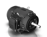 Techtop Electric Aluminum Pump Motor Hp 3600 Rpm 3PH 230/460 V 215JM Frame. Fixed Price $1858.14.