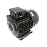 Nachi UVN-1A-1A4-2.2-4-12 Phase Cage Induction Motor 950358380 -unused-. Fixed Price $1102.64.