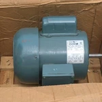 Reliance Electric 3/4 Hp Induction Motor Tefc 115/208/230V Single Phase 1740 Rpm. Fixed Price $390.00.