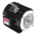 Marathon 182THTY7726 Vector Motor, 9.0 Lb-ft, Hp, 230/460. Fixed Price $1826.99.