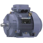 Marathon Motors TCA2P23AE211GAA009 Gp MOTOR,3 HP,1,170 RPM,230/460V AC,112M 55AY. Fixed Price $1727.37.