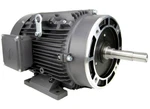 Techtop Cobra Aluminum Electric Pump Motor 10 Hp 3600 Rpm 3PH 230/460 V 215JM. Fixed Price $1421.10.