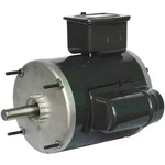 Dayton Ggs 46531 Direct Drive Motor, Permanent Split Capacitor, 1/3 Hp, 115V. Fixed Price $176.99.