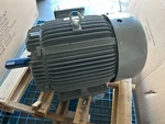 New Teco Westinghouse MAX-E1 EP0404 AEHH8N 324T Severe Duty Motor. Fixed Price $2200.00.
