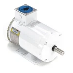 Leeson 121944.00 General Purpose Farm Duty MOTOR,3 Hp 48ZG46. Fixed Price $1306.23.
