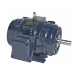 Marathon Electric 286TTDBD6026 Gp Motor, Hp, 775 Rpm, 230/460V.. Fixed Price $995.00.