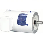 Baldor VEWDM3546 Washdown Motor, Hp, Tenv, 230/460V, 3-PHASE, 1745 Rpm. Fixed Price $449.95.