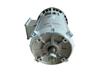 Leeson Washguard White Duck 10HP Motor 230/460V 215TC Tefc C215T17WK9A. Fixed Price $2100.00.